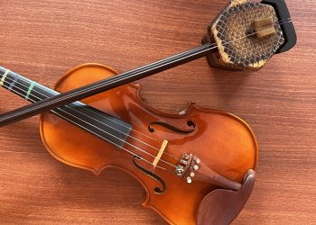 Erhu y violín: diferencias y similitudes entre ambos instrumentos